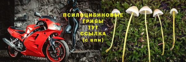ALPHA PVP Инта