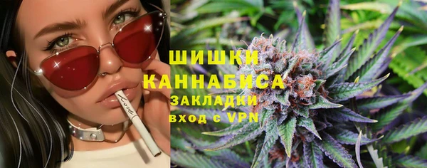 трава Иннополис