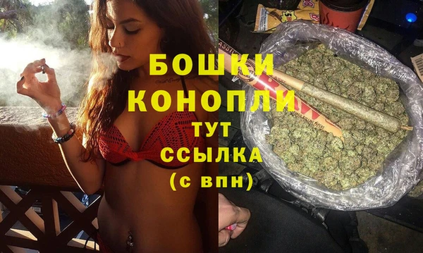 трава Иннополис