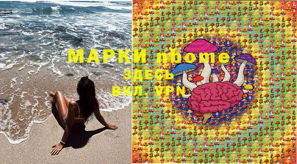 трава Иннополис