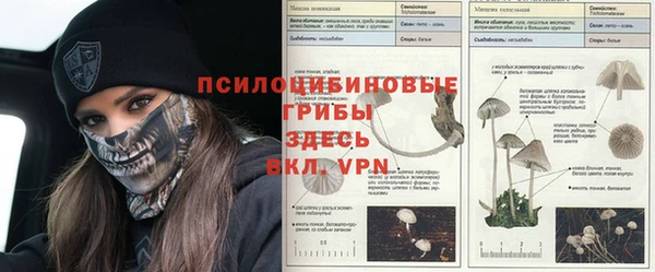 гидра Инсар