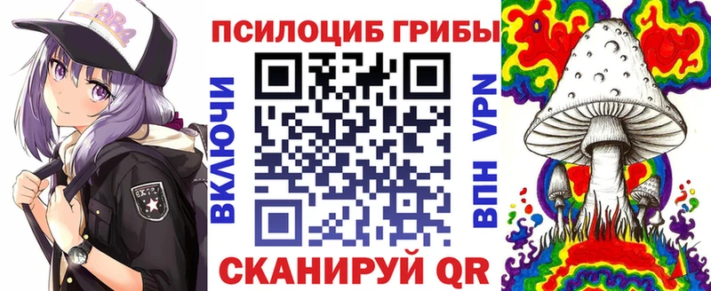 Купить закладки  Ростов  Галлюциногенные грибы мухоморы 